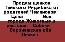 Продам щенков Тайского Риджбека от родителей Чемпионов › Цена ­ 30 000 - Все города Животные и растения » Собаки   . Воронежская обл.,Лиски г.